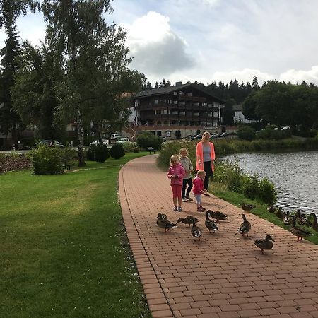 Fewo Andresen Hahnenklee Goslar Exteriér fotografie
