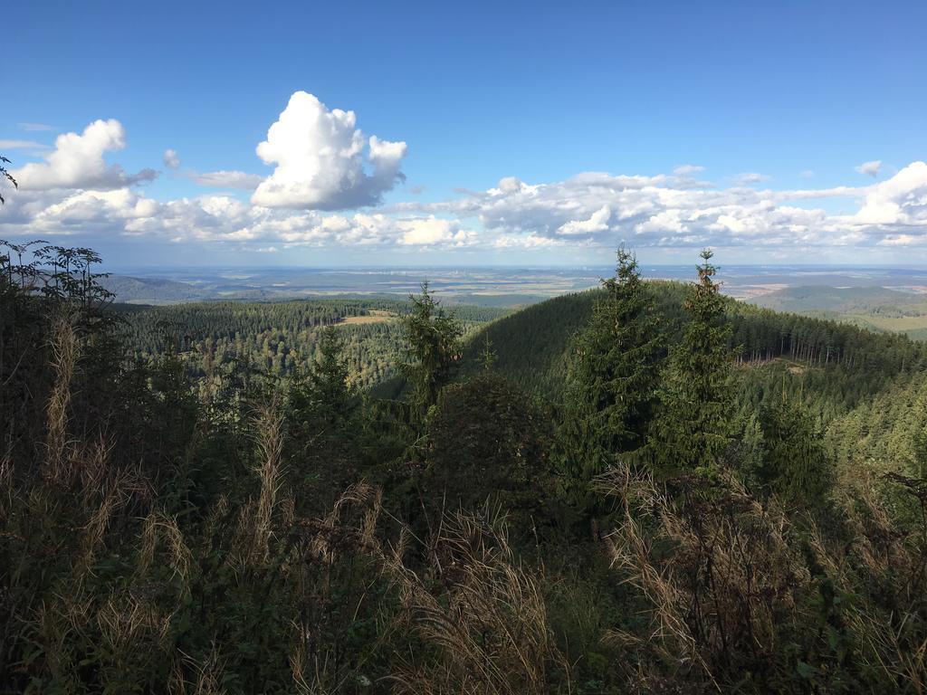 Fewo Andresen Hahnenklee Goslar Exteriér fotografie